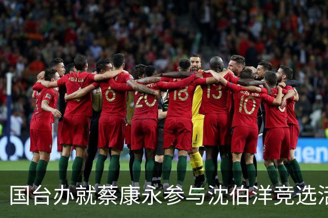国台办就蔡康永参与沈伯洋竞选活动作出回应