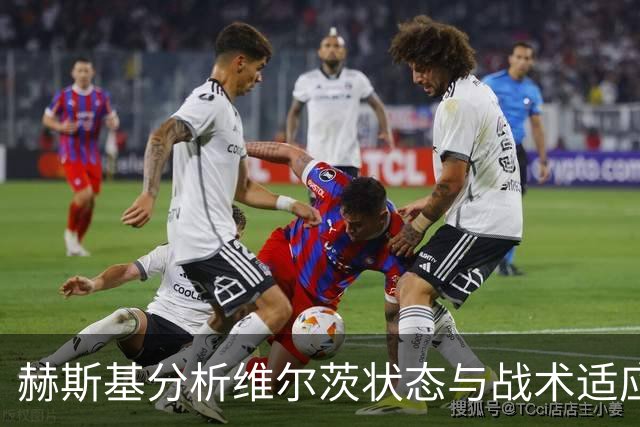 赫斯基分析维尔茨状态与战术适应性问题