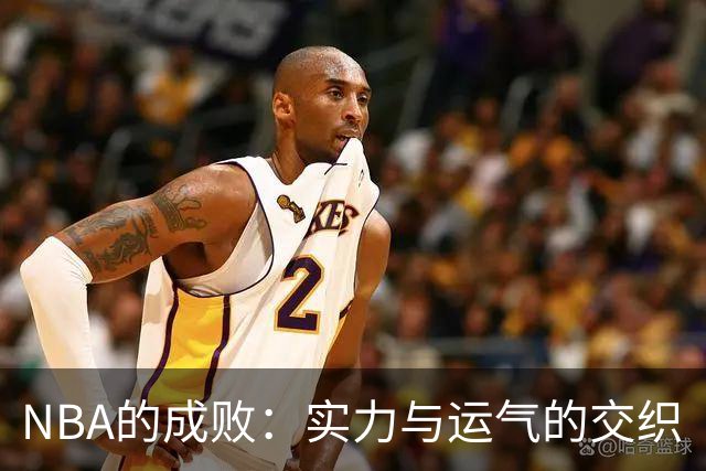 NBA的成败：实力与运气的交织